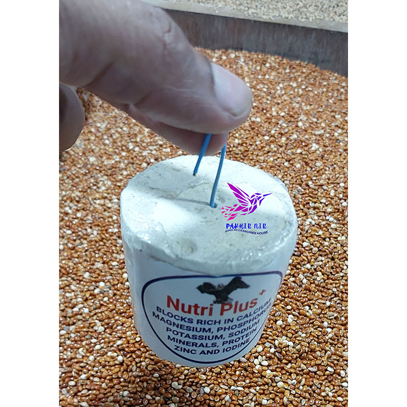 Picture of Nutri Plus Blocks for all type birds 2 pcs