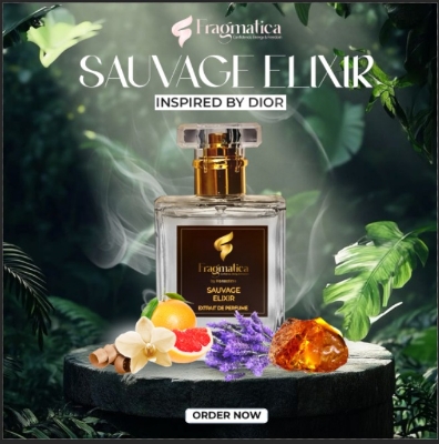Picture of Fragmatica's Wild Horizon Sauvage Élixir , The ultra-premium fragrance inspired by Dior Sauvage Élixir. A bold blend of warm cinnamon, rich cardamom, and deep woody ambroxan creates a scent that defines power, elegance, and masculinity (100ml)