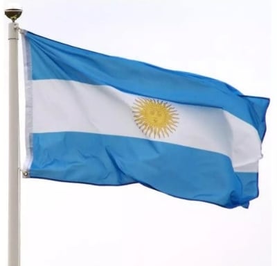 Picture of Argentina National Flag 3ft X 2ft - Multicolor