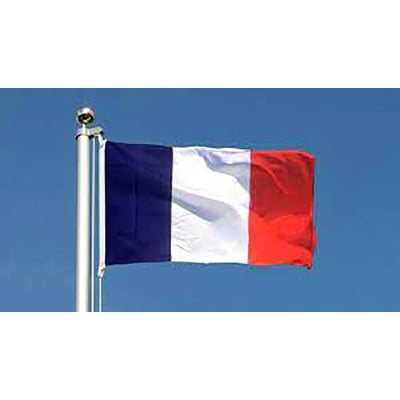 Picture of France National Flag 5ft X 3ft - Multicolor