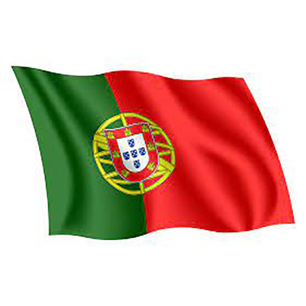 Picture of Portugal National Flag 3ft X 2ft - Multicolor
