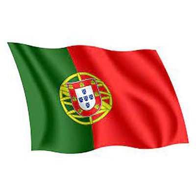 Picture of Portugal National Flag 3ft X 2ft - Multicolor