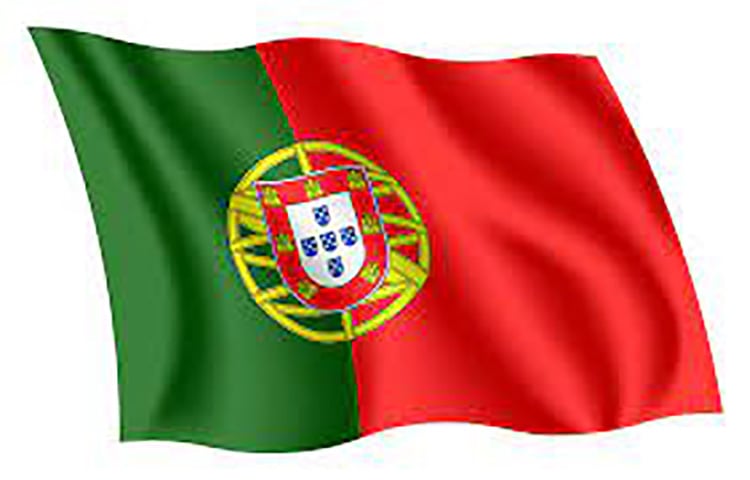 Picture of Portugal National Flag 3ft X 2ft - Multicolor