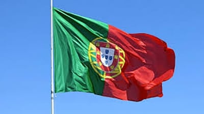 Picture of Portugal National Flag 3ft X 2ft - Multicolor