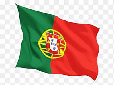 Picture of Portugal National Flag 3ft X 2ft - Multicolor