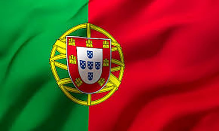 Picture of Portugal National Flag 3ft X 2ft - Multicolor
