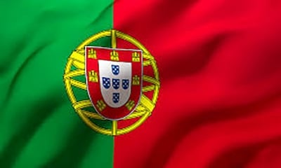 Picture of Portugal National Flag 3ft X 2ft - Multicolor