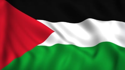 Picture of Palestine National Flag 5ft x 3ft One Sided Sublimation Print, High Quality. - Multicolor