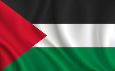 Picture of Palestine National Flag 5ft x 3ft One Sided Sublimation Print, High Quality. - Multicolor