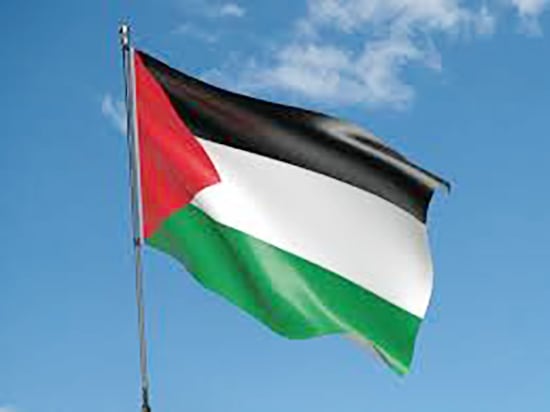 Picture of Palestine National Flag 5ft x 3ft One Sided Sublimation Print, High Quality. - Multicolor