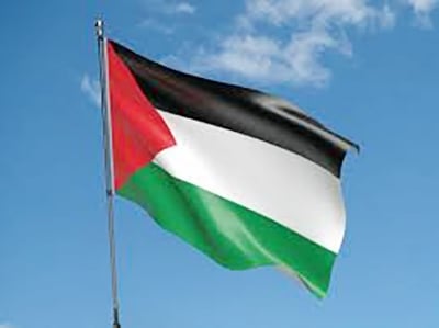 Picture of Palestine National Flag 5ft x 3ft One Sided Sublimation Print, High Quality. - Multicolor
