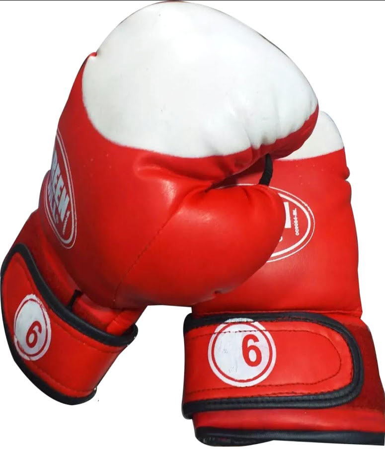 Picture of Regular Boxing Gloves 6oz for kids - Multicolor