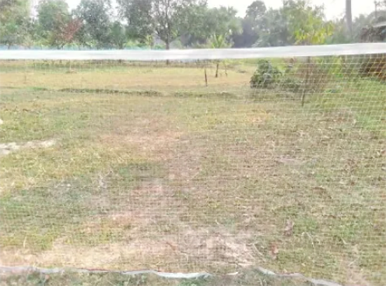 Picture of Oem Standard Sport Braided Tennis Badminton Nylon Net - Durable And Reliable Net For Intense Gameplay - Multicolor