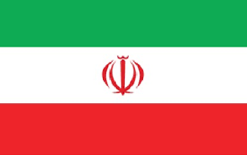 Picture of Iran National Flag (5’ x 3’) Feet (Local)