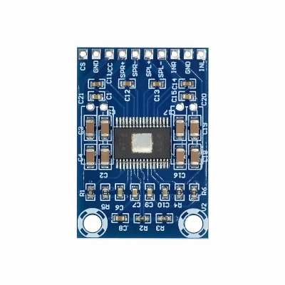 Picture of XH-M562 DC 12V-24V 2x50W Dual Channel Digital Amplifier D Class 50W+50W TPA3116D2 Amplifier 50W Power Amplifier Board 