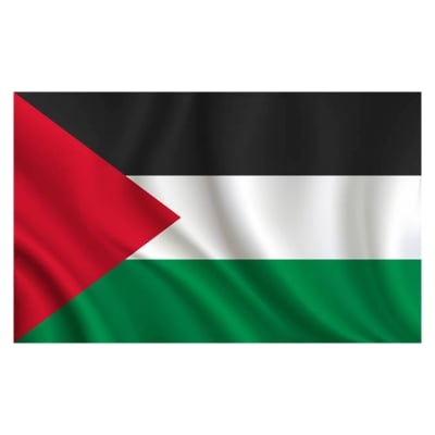 Picture of Palestine National Flag 3ft x 2ft One  sided Sublimation Print, High Quality. - Multicolor