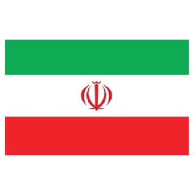 Picture of Iran National Flag (5’ x 3’) Feet (Local)