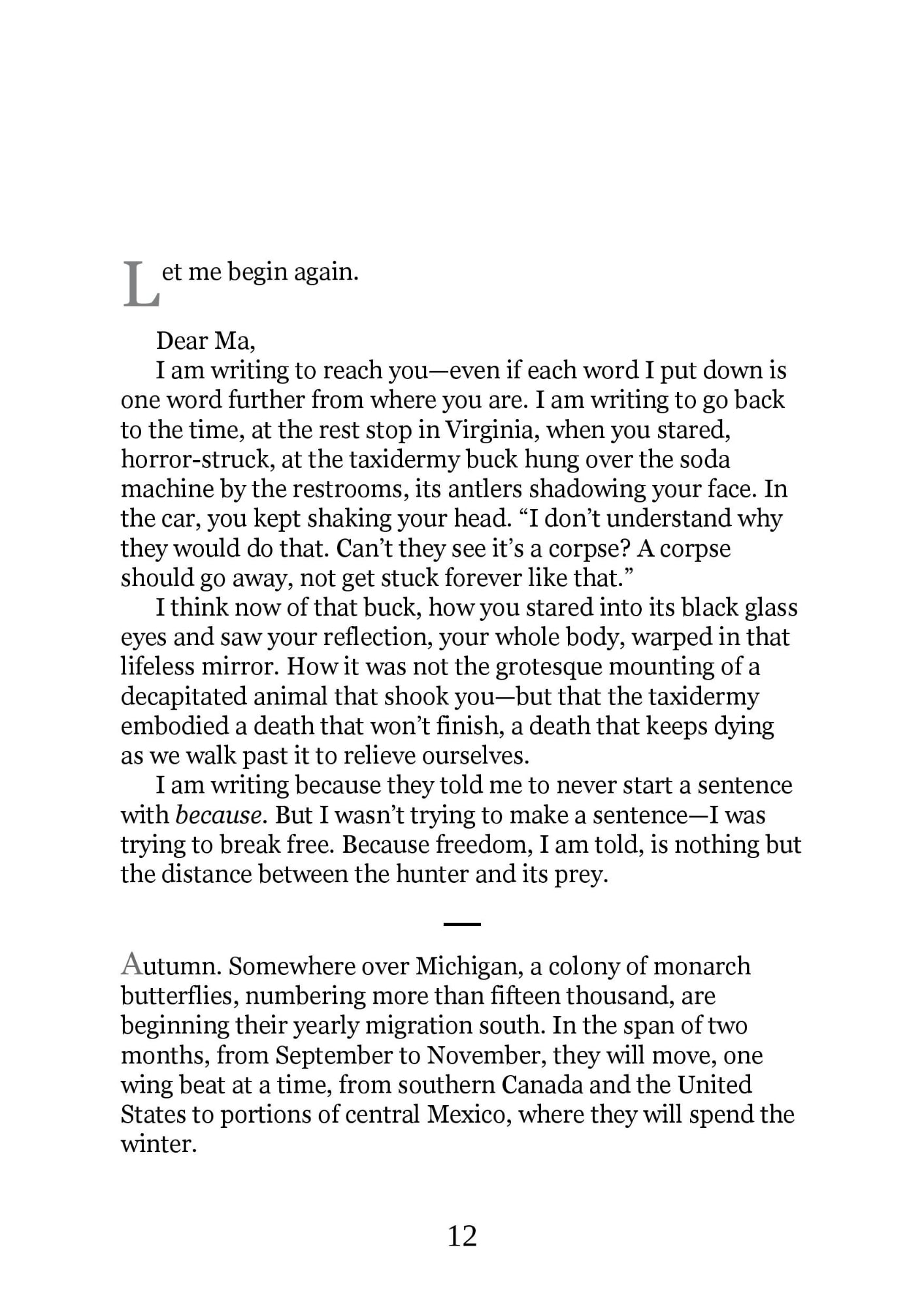Picture of On Earth We're Briefly Gorgeous By Ocean Vuong (Premium Quality Books with Matte Finish)
