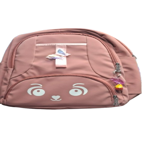Picture of Stylish Trendy School Bag For Girls