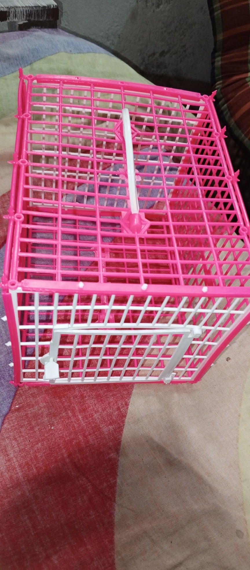 Picture of Carrying Cage For Bird (Plastic)-01 Pc