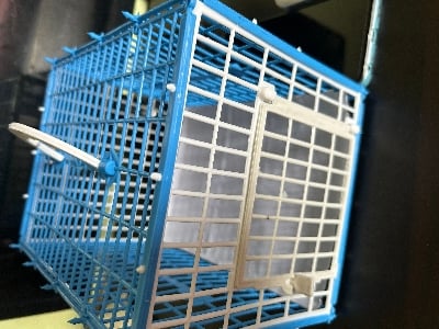 Picture of Carrying Cage For Bird - 2 pcs (Plastic)
