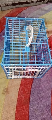 Picture of Carrying Cage For Bird - 2 pcs (Plastic)