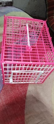 Picture of Carrying Cage For Bird - 2 pcs (Plastic)