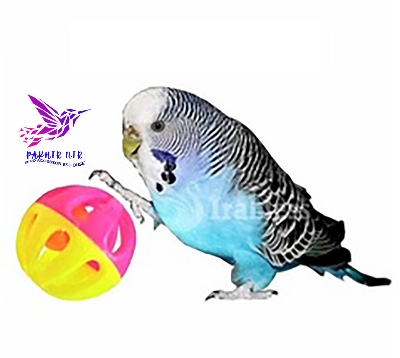Picture of Cockatiel, Parrot, Love Birds Wood Toy