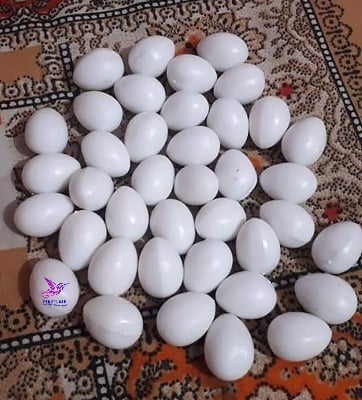 Picture of Pigeon Plastic Fake Eggs
