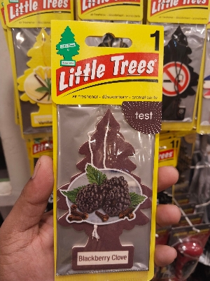 Picture of Little Trees Hanging Air Freshener For Car Office Home