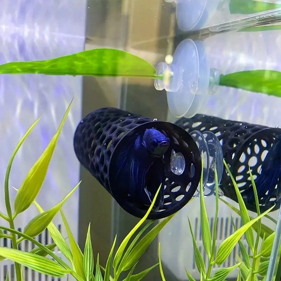 Picture of 1 Pc Betta Fish Tunnel Toy Hollow Sleeping Tube with Suction Cup Betta Hammock Hidden Resting Tube for Fish Tank Decorations Black