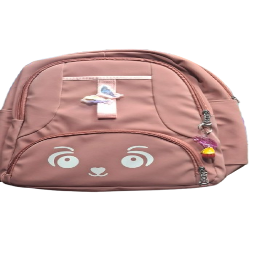 Picture of Stylish Trendy School Bag For Girls