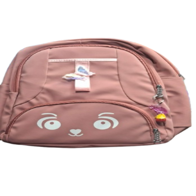 Picture of Stylish Trendy School Bag For Girls