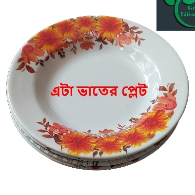 Picture of 6 pcs Set Big Melamine Plate (9.5" Size ) for Home & Office High Quality Melamine. - Multicolor