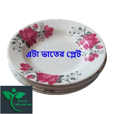 Picture of 6 pcs Set Big Size Melamine Plate (9.5" Size ) for Home & Office High Quality Melamine. - Multicolor