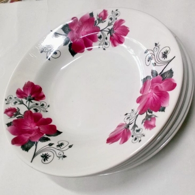 Picture of 6 pcs Set Big Size Melamine Plate (9.5" Size ) for Home & Office High Quality Melamine. - Multicolor