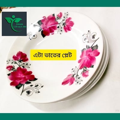 Picture of 6 pcs Set Big Size Melamine Plate (9.5" Size ) for Home & Office High Quality Melamine. - Multicolor