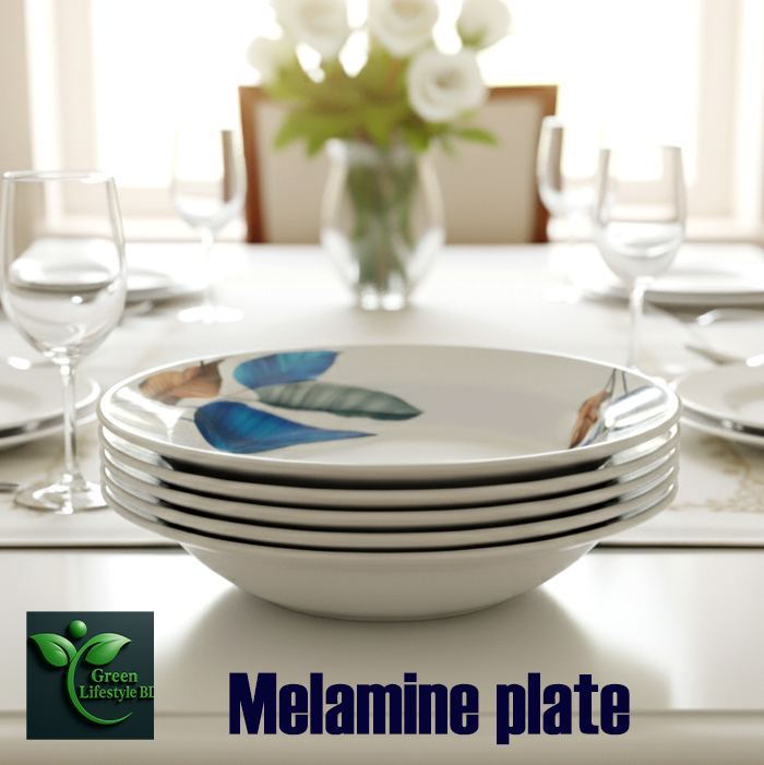 Picture of 9.5 Inch Melamine Dinner Plate Set – 4 or 6 Pcs Premium Quality Plates for Dining & Serving