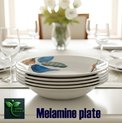 Picture of Premium 9.5 Inch Melamine Dining Plate Set – 4/6 Pcs Lightweight & Easy to Clean Plates