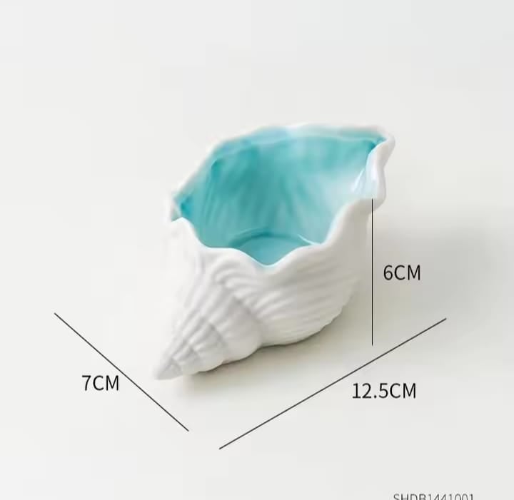 Picture of 01 pcs Colourful small shell tray for home decor White