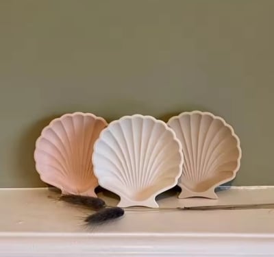 Picture of 01 pcs colourful gypsum Shell tray for home decore White