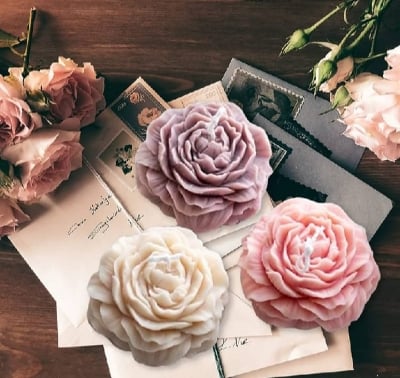 Picture of 01 pcs Colourful Gypsum flower for home decor White