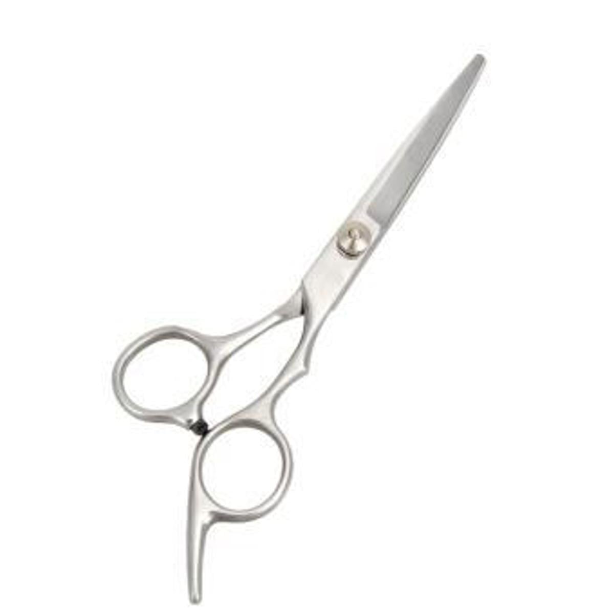 Picture of Professional Hairdressing Scissor - Silver