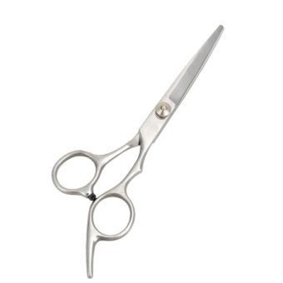 Picture of Professional Hairdressing Scissor - Silver