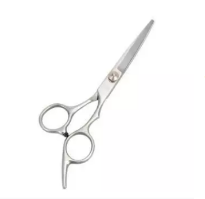 Picture of Professional Hairdressing Ice Scissor - Silver -Silver