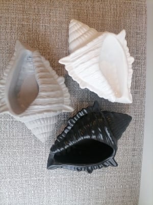 Picture of Elegant Conch Shell Shaped Decorative Bowl | Handmade Gypsum Art Showpiece | Unique White Sea Shell Design Home Décor Gift Item --- best for indoor planter, candle holder , jewellery or small things storage box, table and living room decorations