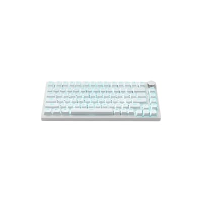 Picture of Ajazz AK820 75% Gasket-mounted Wired Mechanical Keyboard 