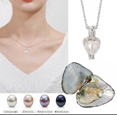 Picture of 【EIEGANT Store】 12 Constellations Cutout

Pendant DIY Natural Freshwater Pearl Necklace for Lover/Girlfriend
