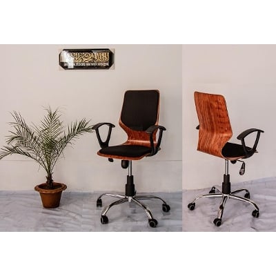 Picture of Furniture Finds FF-EC-09ss Orthopedic back supported computer chair