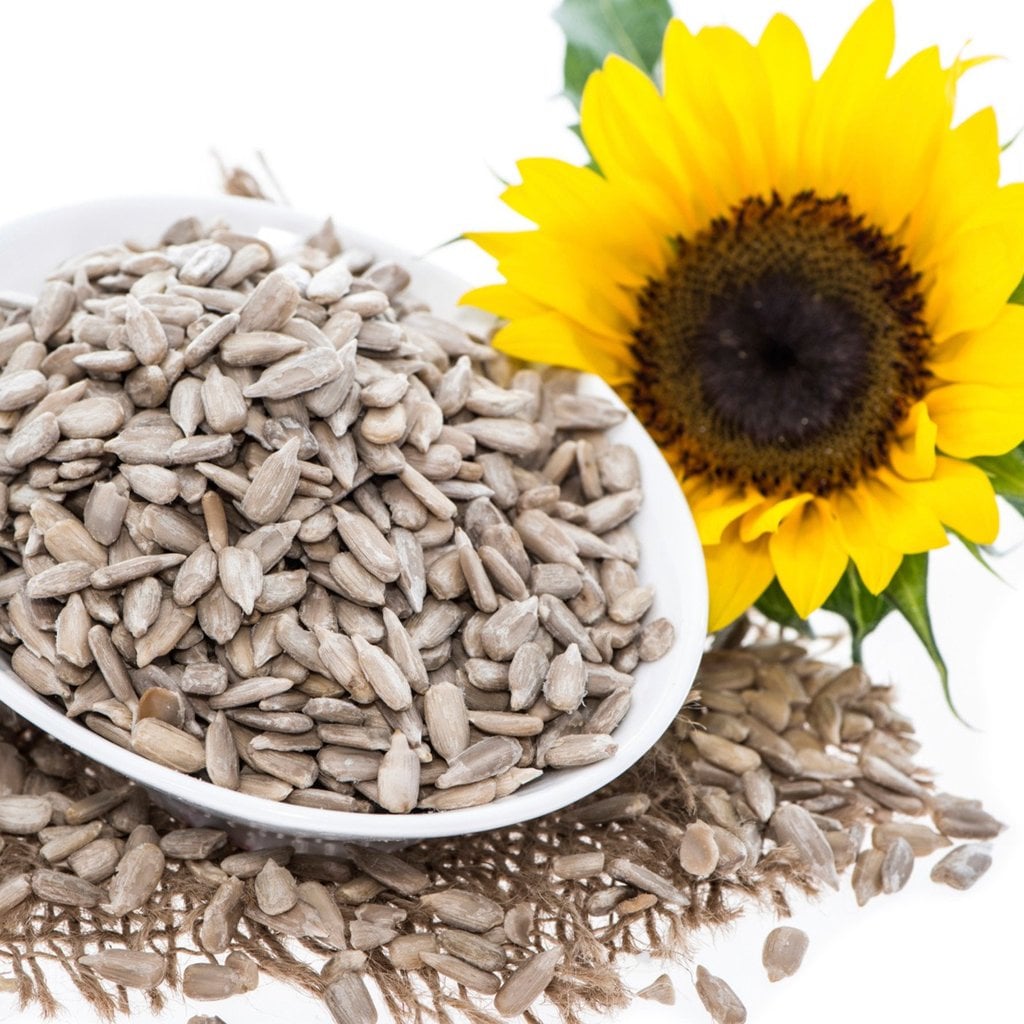 Picture of Premium Sunflower Seeds - Shellless & Saturated Fat Free - 250Gm Pack for eating